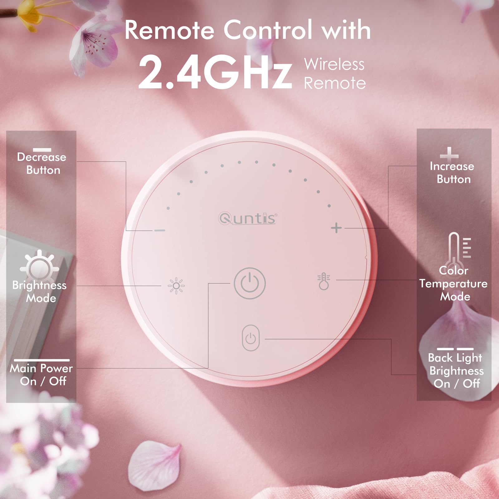 Quntis pink desk light provides ambient lighting for focused work.