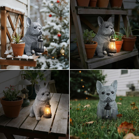 Qwifyu bulldog lantern garden gift ideal for housewarmings and birthdays