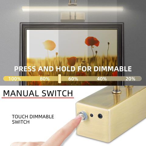 RAIFOOLLY 48-LED system delivers crisp, consistent brightness for artwork