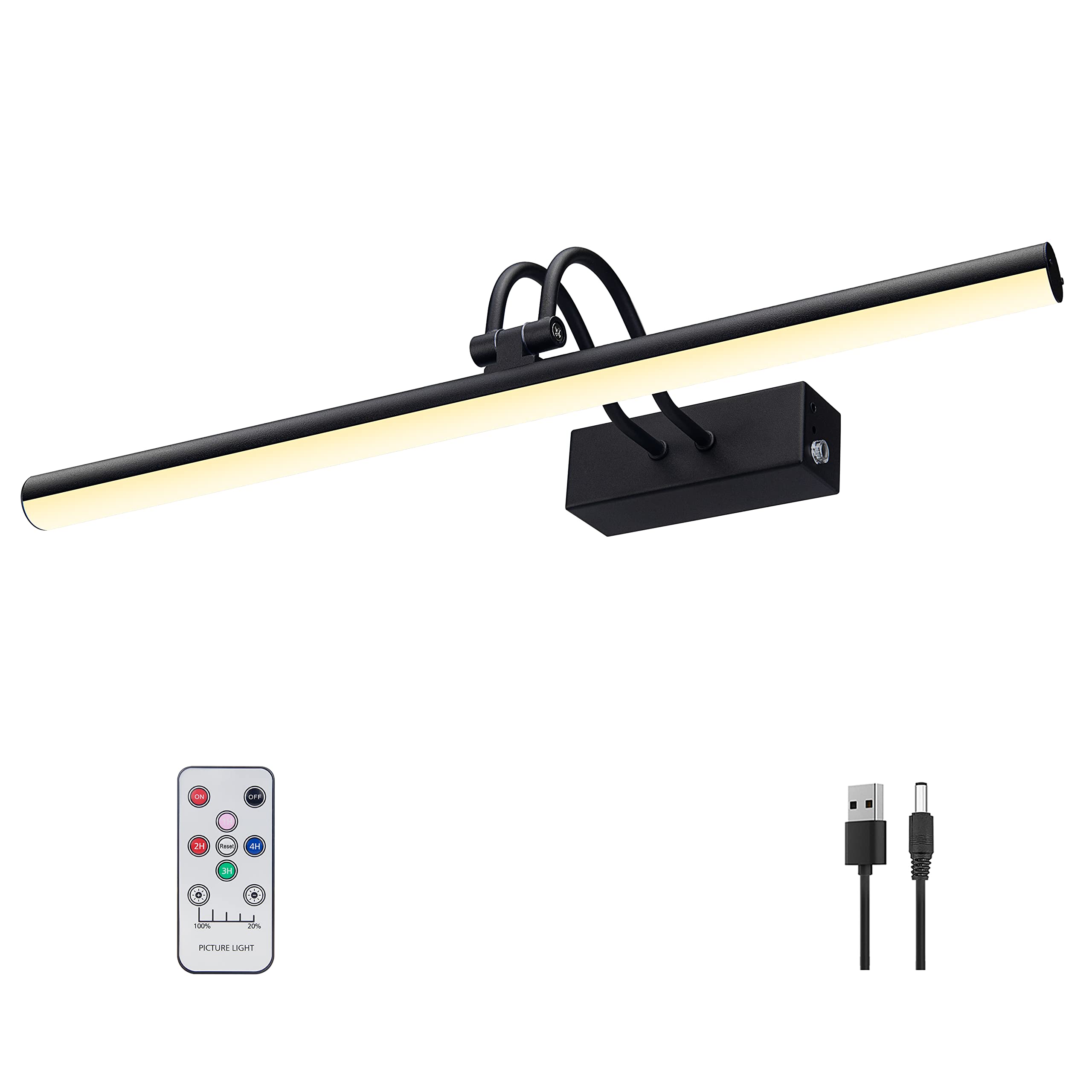 RAIFOOLLY picture light mounted on wall highlighting artwork with adjustable brightness.