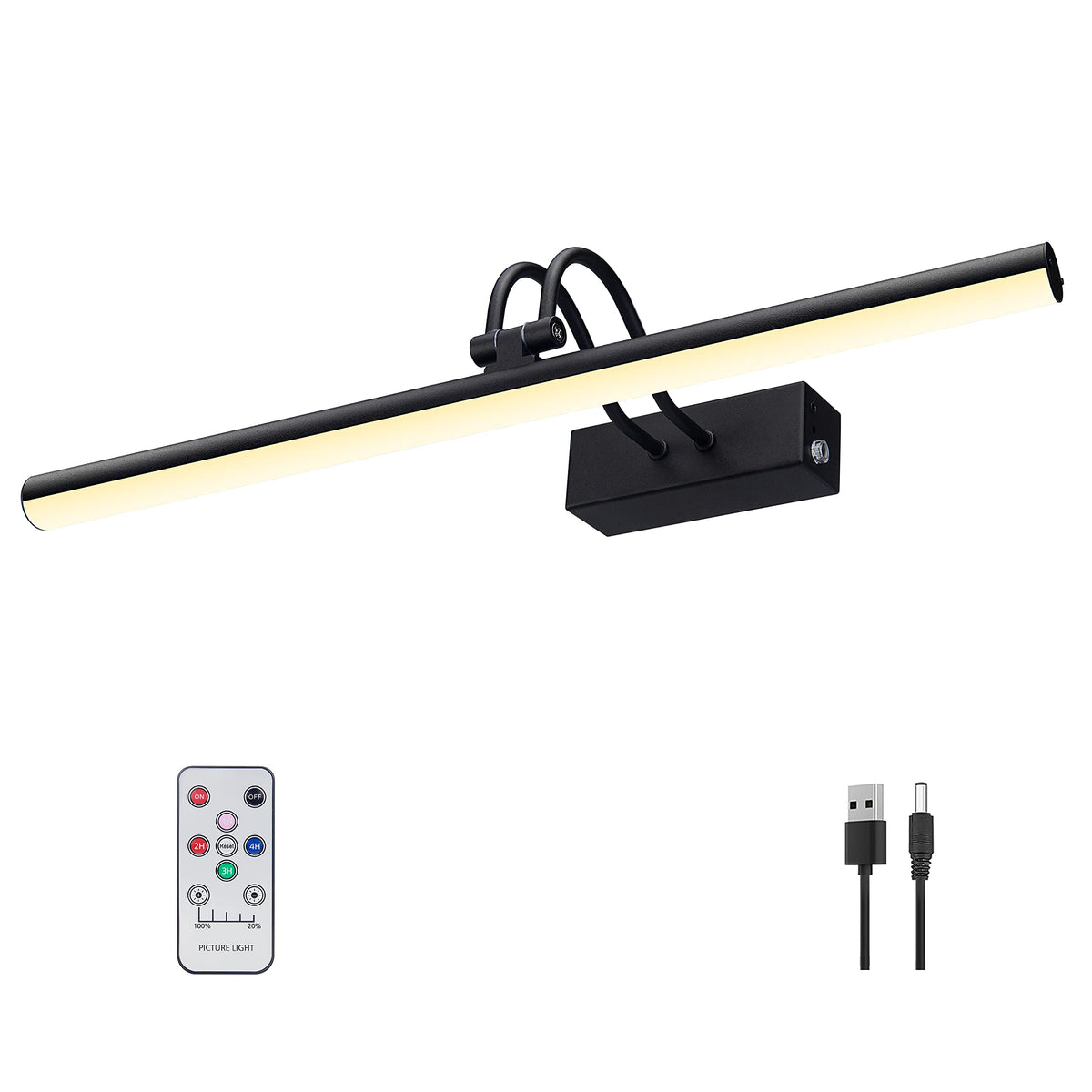 RAIFOOLLY picture light mounted on wall highlighting artwork with adjustable brightness.