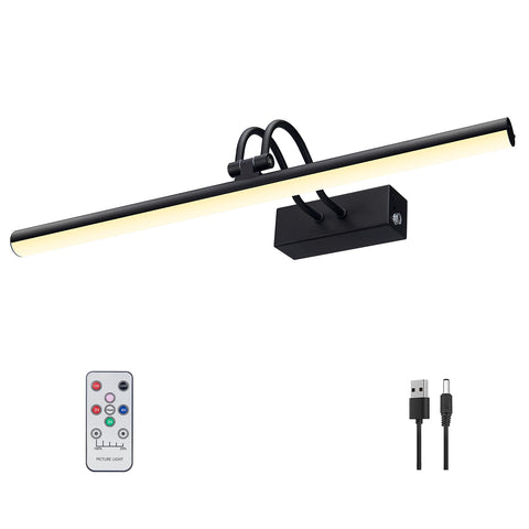 RAIFOOLLY picture light mounted on wall highlighting artwork with adjustable brightness.