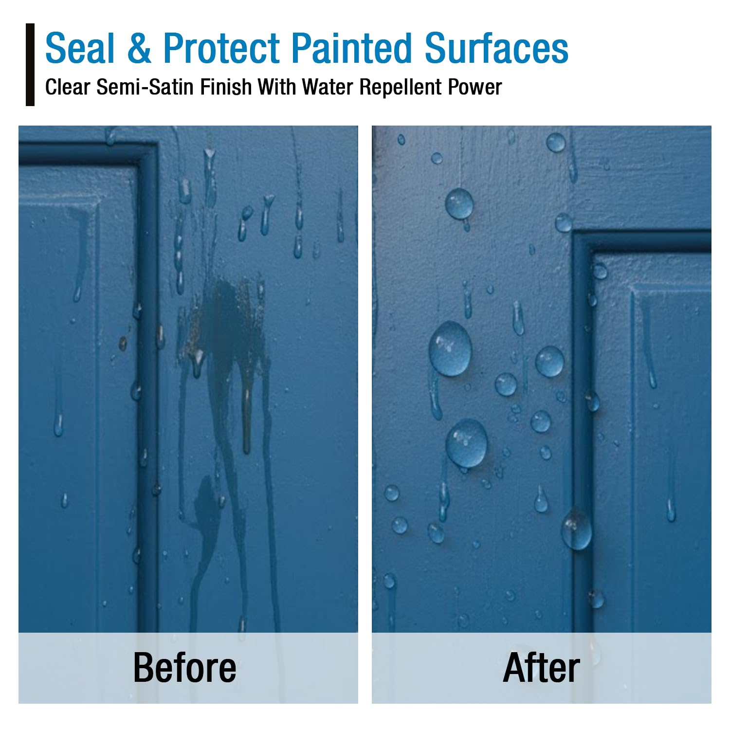 Rain Guard Paint Sealer label close-up showing brand and purpose