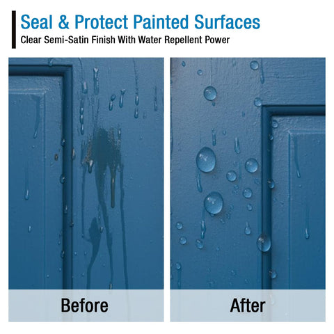 Rain Guard Paint Sealer label close-up showing brand and purpose
