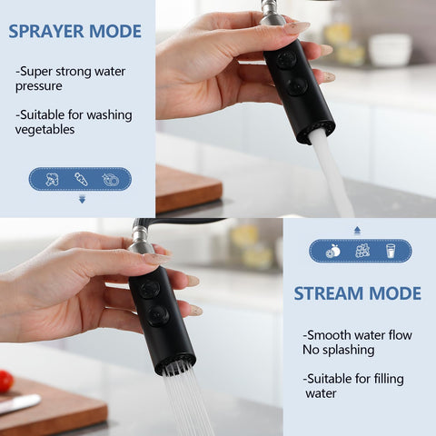 RAINMAX Kinfaucets 360-degree spout for full sink reach