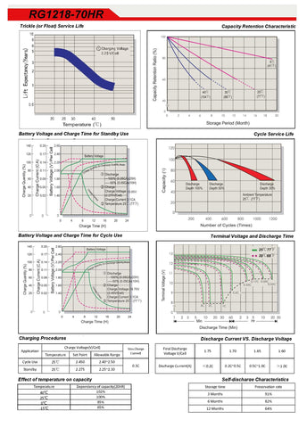 Raion Power battery in use with an APC UPS showing extended runtime potential.