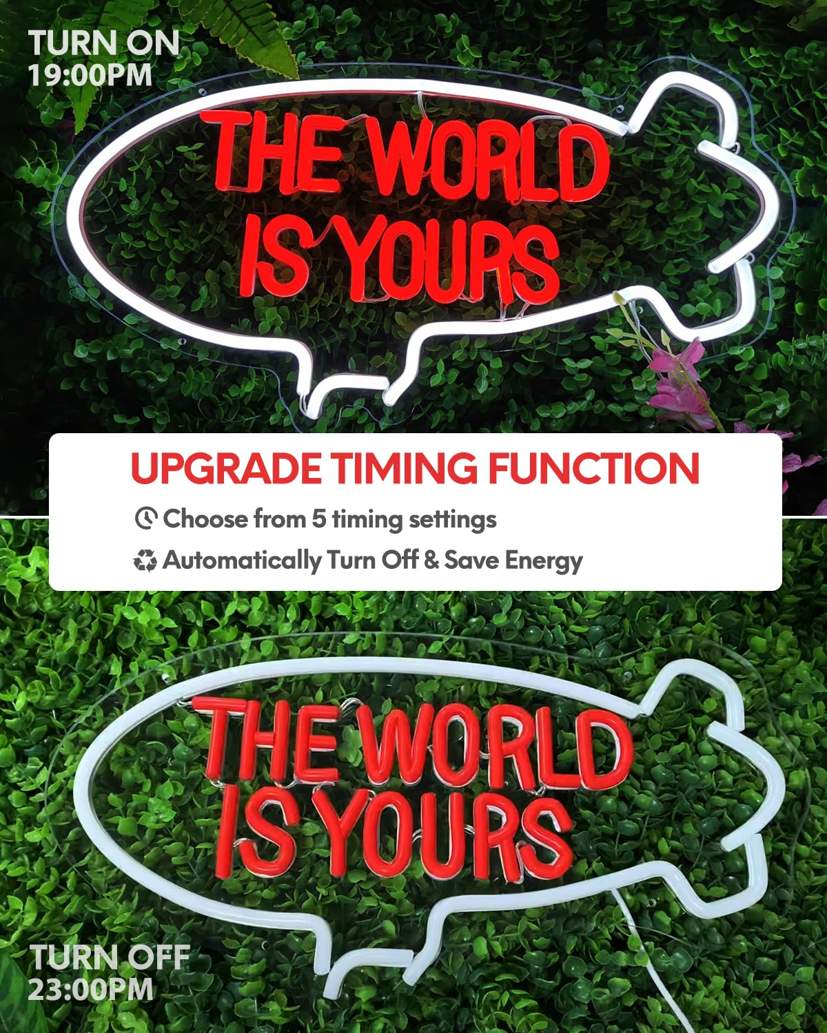 Raipile The World Is Yours neon sign sets a party-ready mood for celebrations.