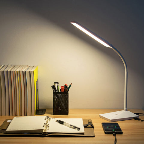 RAOYI lamp includes 12V adapter for flexible power at home or office.