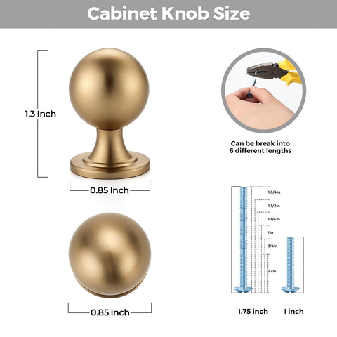 Ravinte Decor champagne bronze round knob close-up shows smooth edges and zinc alloy material.