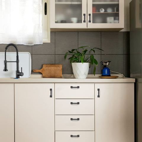 Ravinte matte black finish complements modern and traditional kitchens