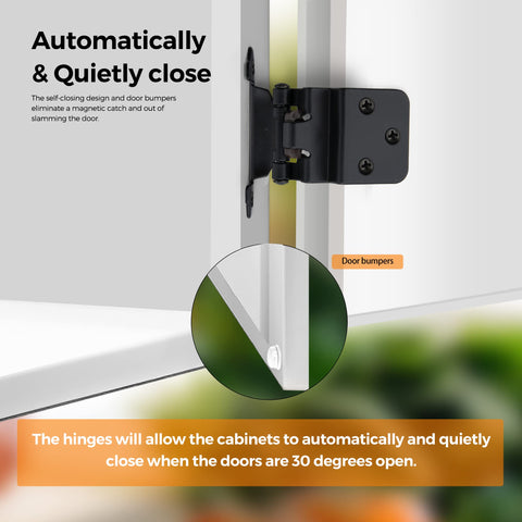 Ravinte surface-mount hinge shown without mortise