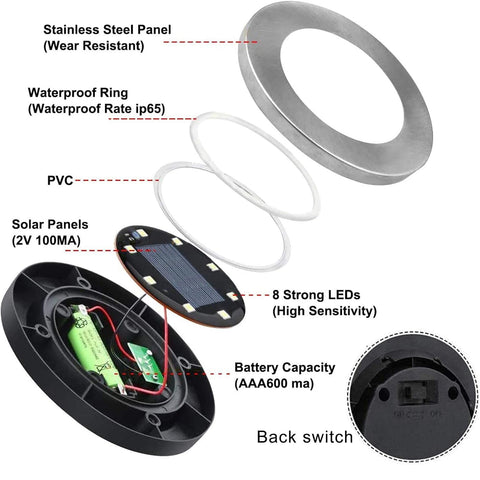 Rayolon solar ground lights brighten garden borders and walkways.