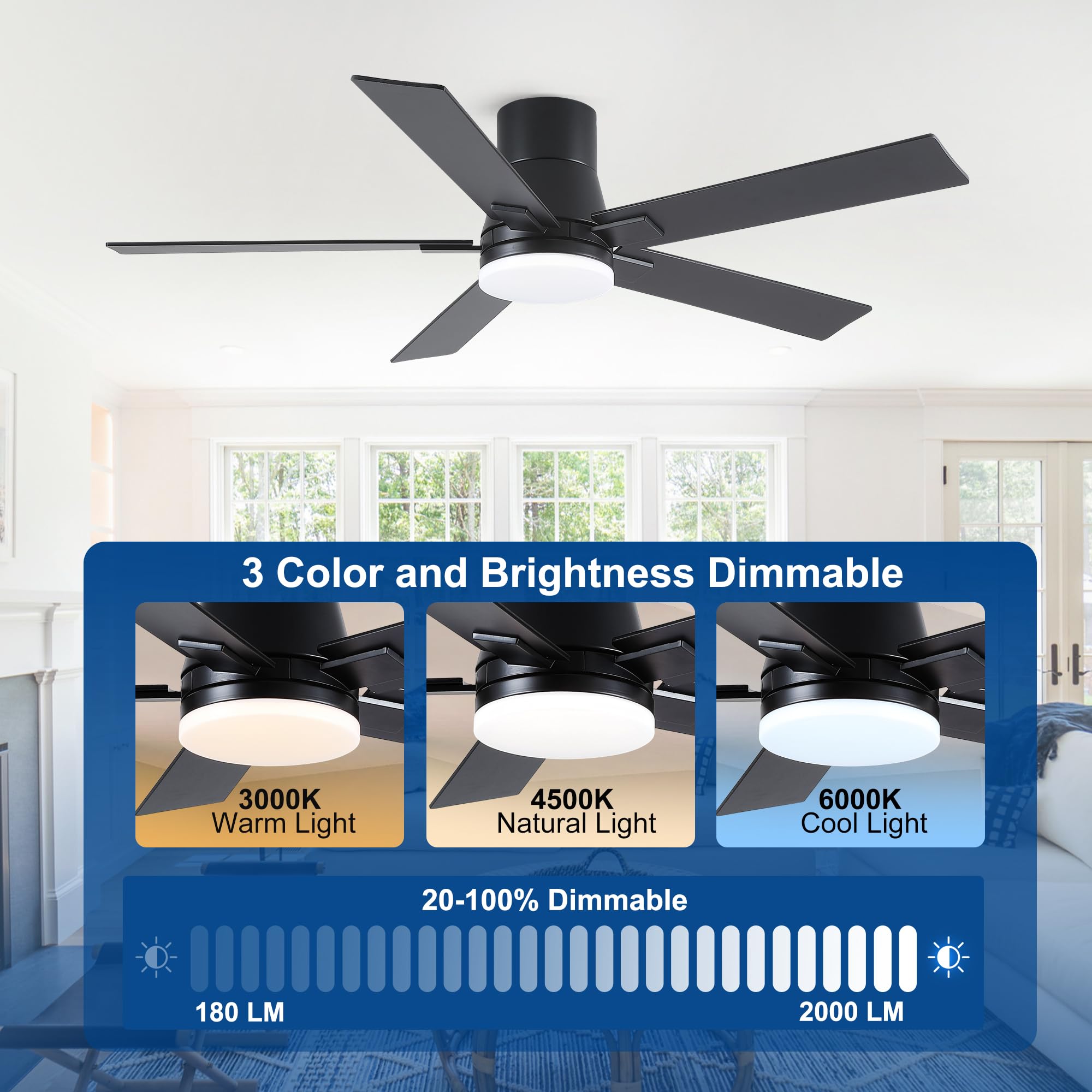 Rayqueen 6-speed DC motor delivers ultra-quiet operation and strong airflow.