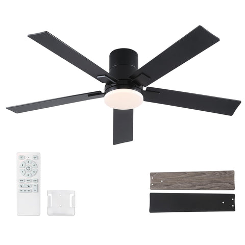 Rayqueen 52-inch ceiling fan with remote and lights in matte black.