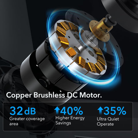 Rayqueen black flush-mount ceiling fan with wood grain blades for stylish airflow.