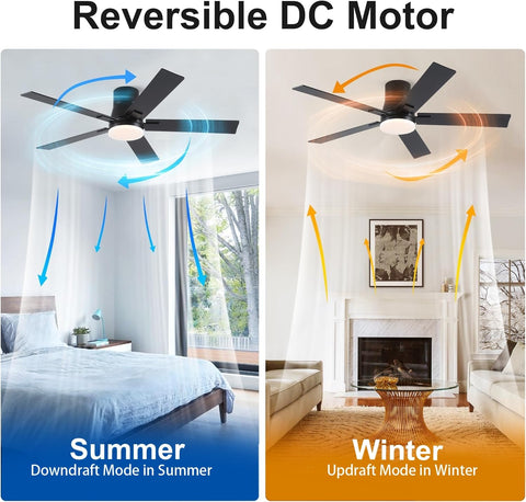 Rayqueen 3CCT dimmable LED creates warm to cool lighting.