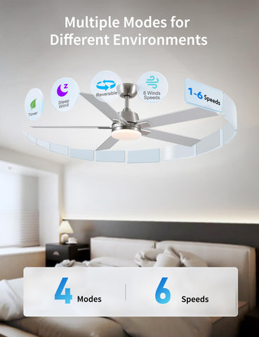 Rayqueen ETL-certified safety and reliable performance with support.