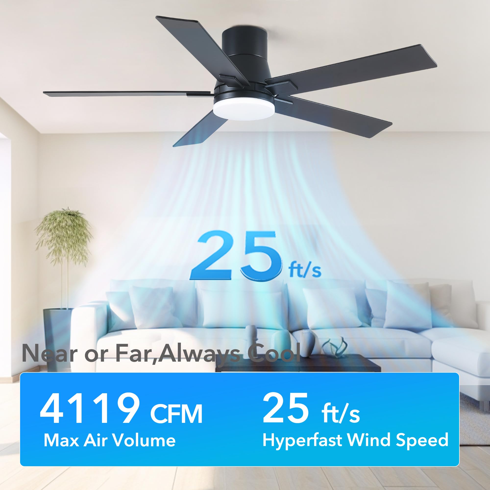 Rayqueen remote-controlled ceiling fan with smooth speed adjustments.