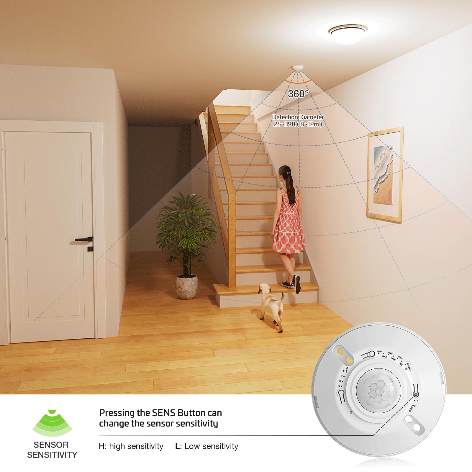 RAYZEEK energy savings concept emphasizes reduced electricity use.