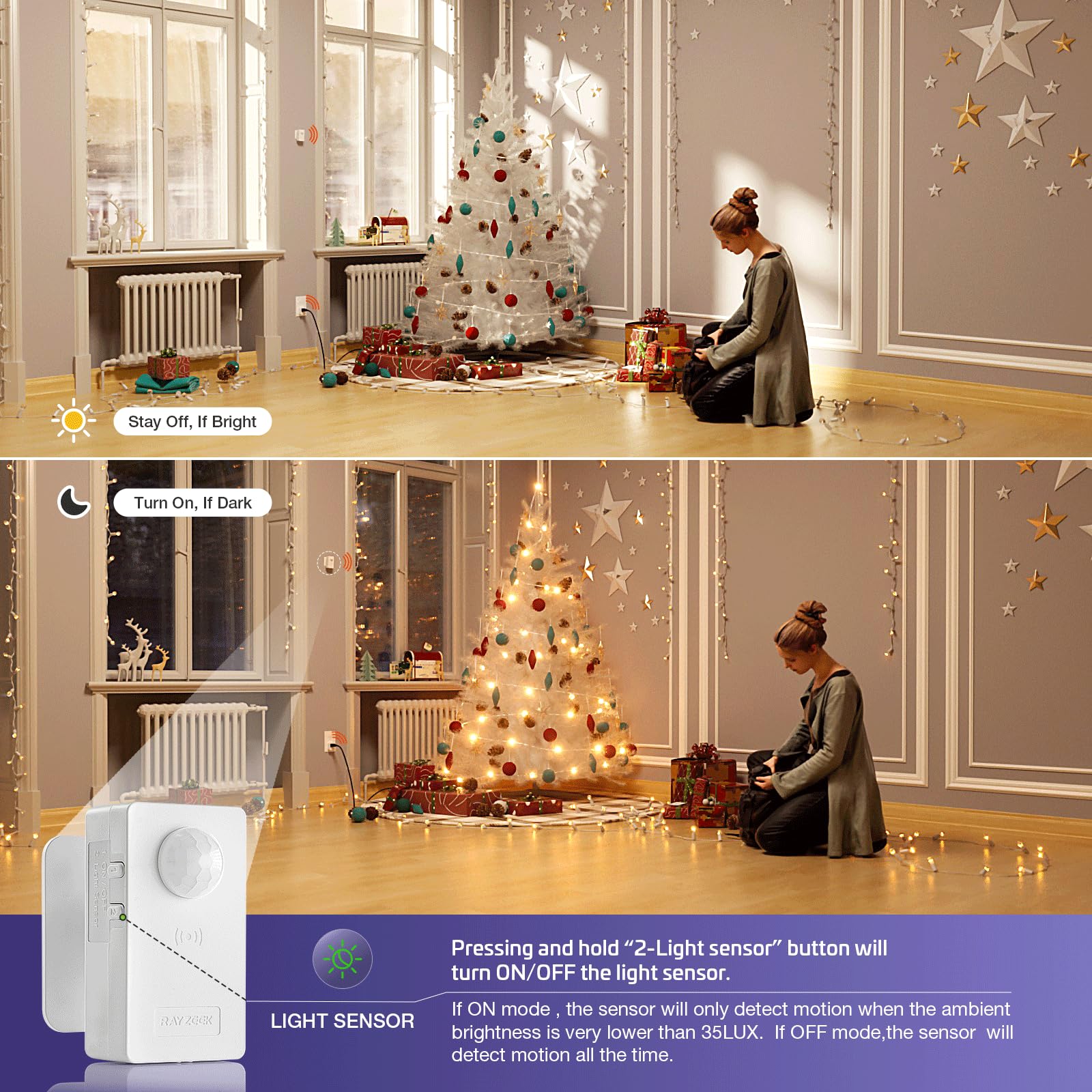 RAYZEEK receiver plug image shows standard outlet compatibility for most devices