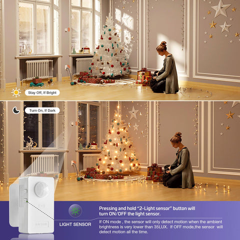 RAYZEEK receiver plug image shows standard outlet compatibility for most devices