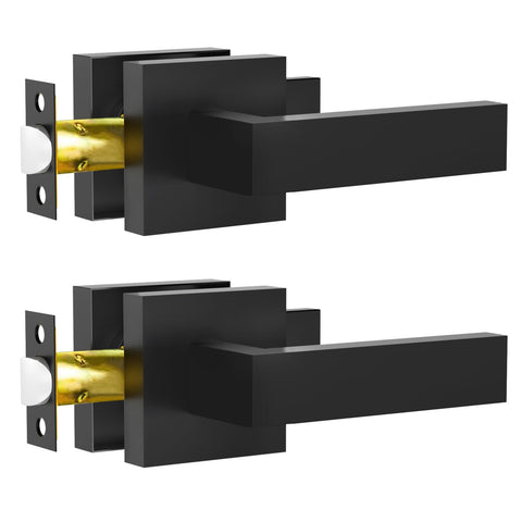 RAZCC passage lever in matte black, front view shows durable hardware.