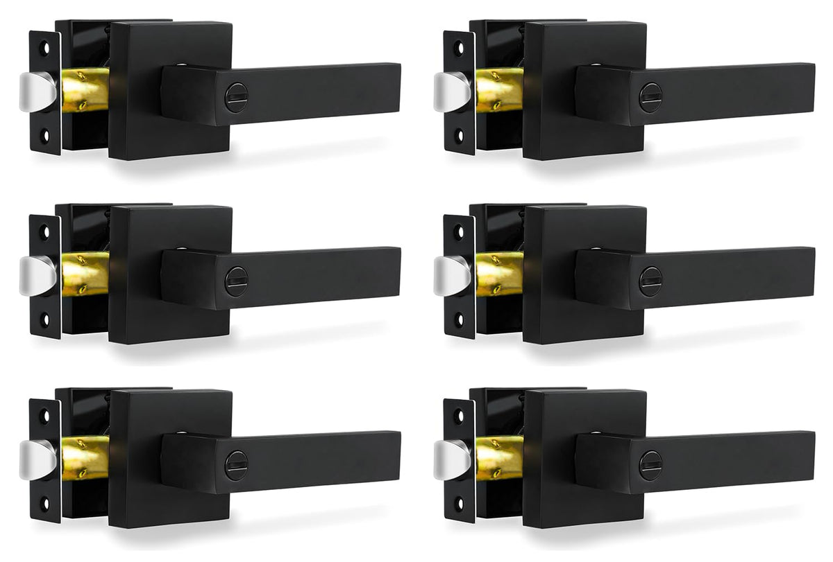RAZCC privacy door lever front view shows matte black finish and solid construction.