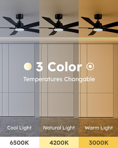 Realmate 3CCT dimmable LED light for warm to cool tones
