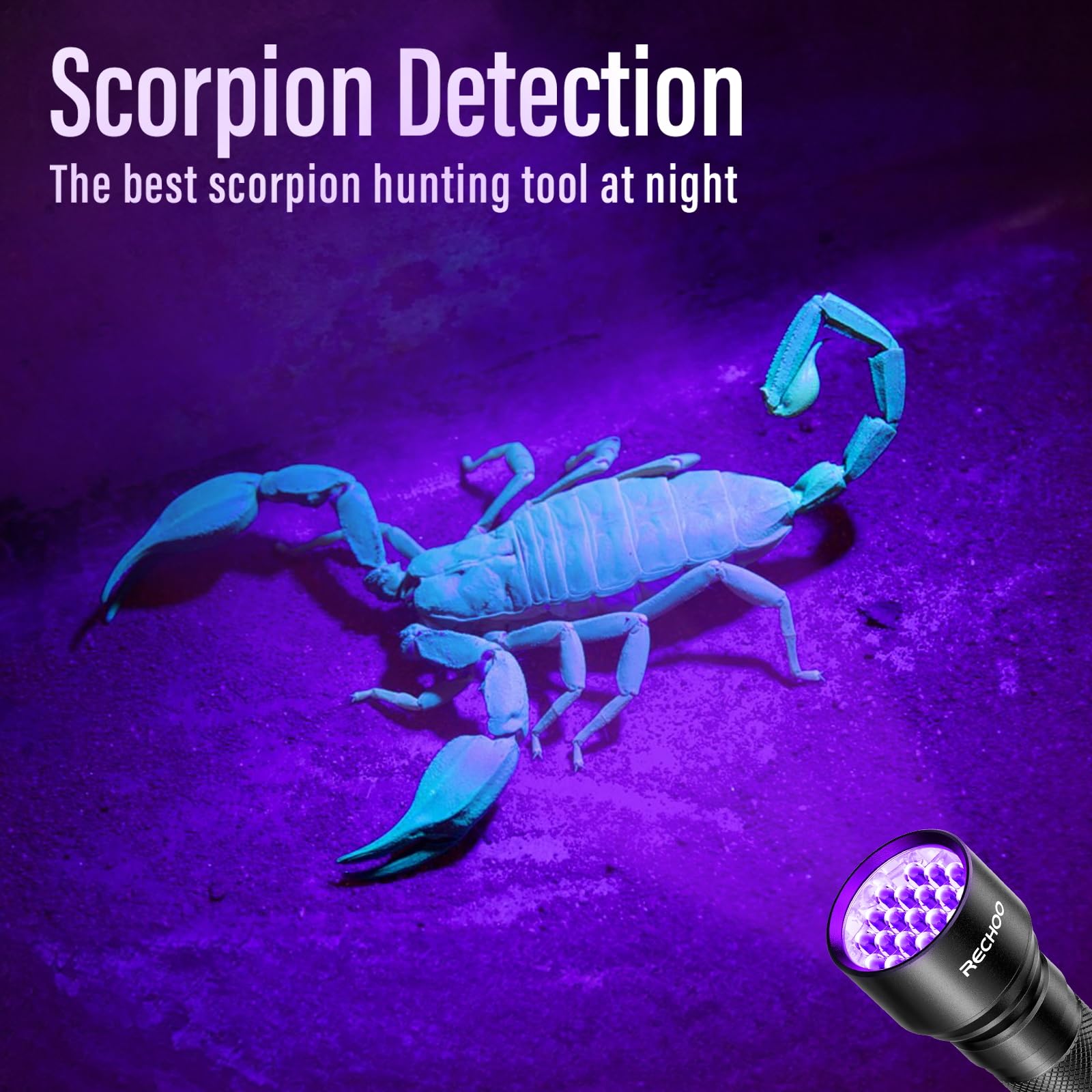 RECHOO UV Flashlight aiding currency authentication and security checks.