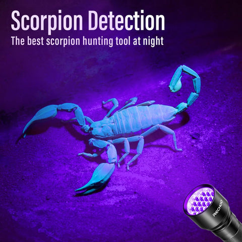 RECHOO UV Flashlight aiding currency authentication and security checks.