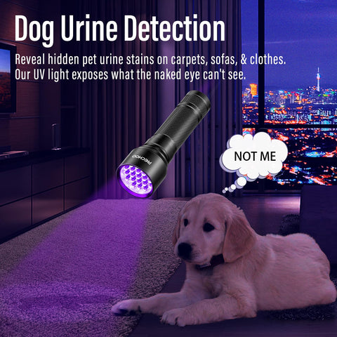 RECHOO UV Flashlight used for resin curing and glowing effects in crafts.