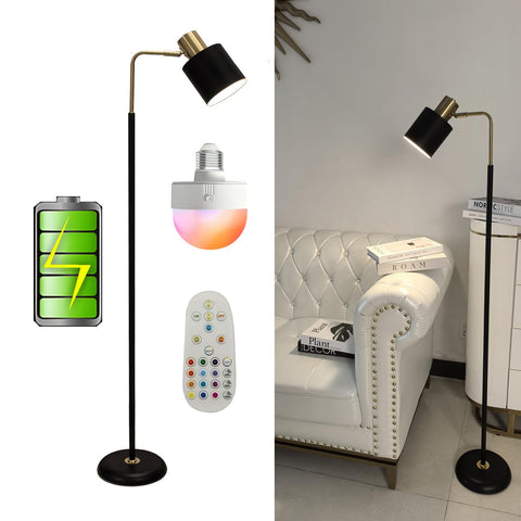 Reddragon Lighting modern cordless floor lamp with remote for flexible living room lighting