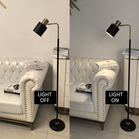 Reddragon Lighting sturdy metal body floor lamp for durable use