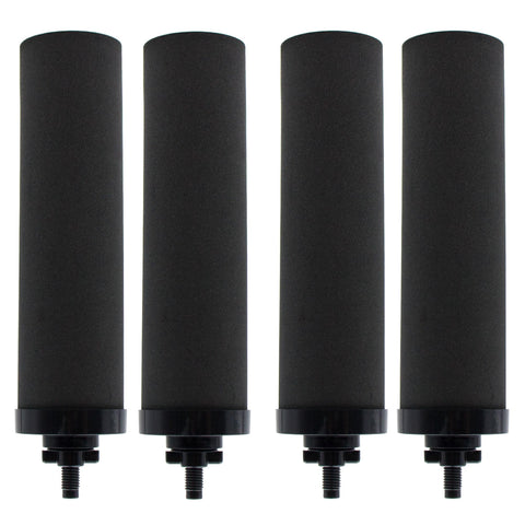 Renami 1-micron filter for Berkey BB9-2 improves taste and clarity.