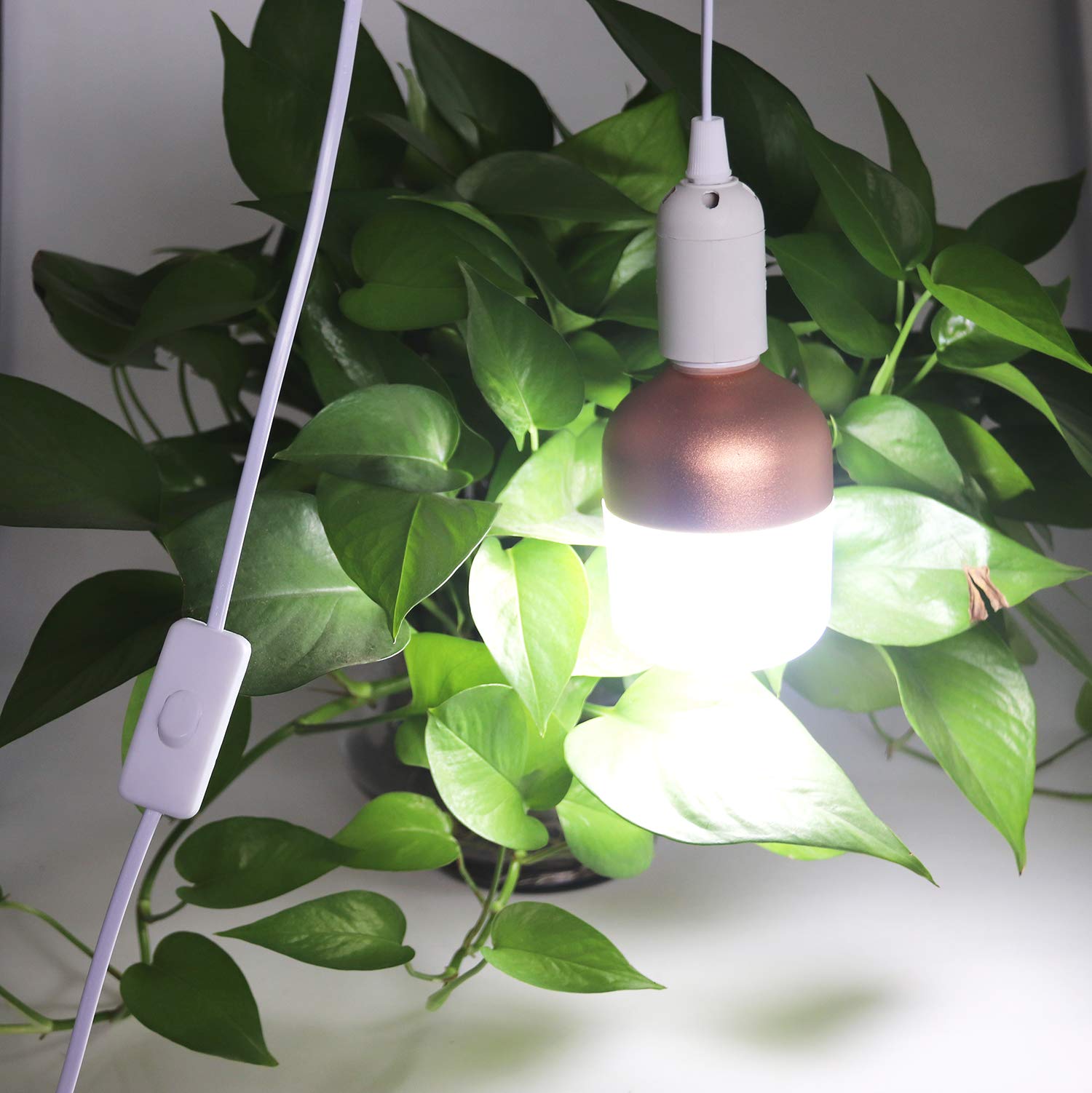 REXTIN 360W max supports bright, wide-ranging bulbs.