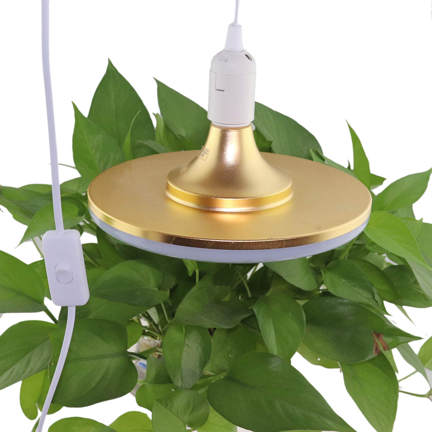 REXTIN pendant lighting setup suitable for kitchen or dining areas.