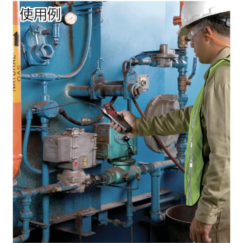 RIDGID CD-100 audible alarm warns of leaks on site.