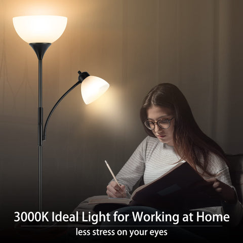 RISLG Floor Lamp shown in a living room setup for ambient illumination.