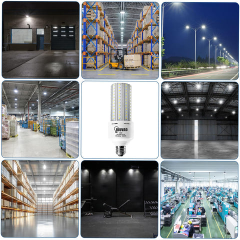 RIUVAO cool daylight 5000K LED corn bulb for tasks