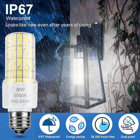 Durable RIUVAO LED corn light with waterproof shell resists dust and fog.