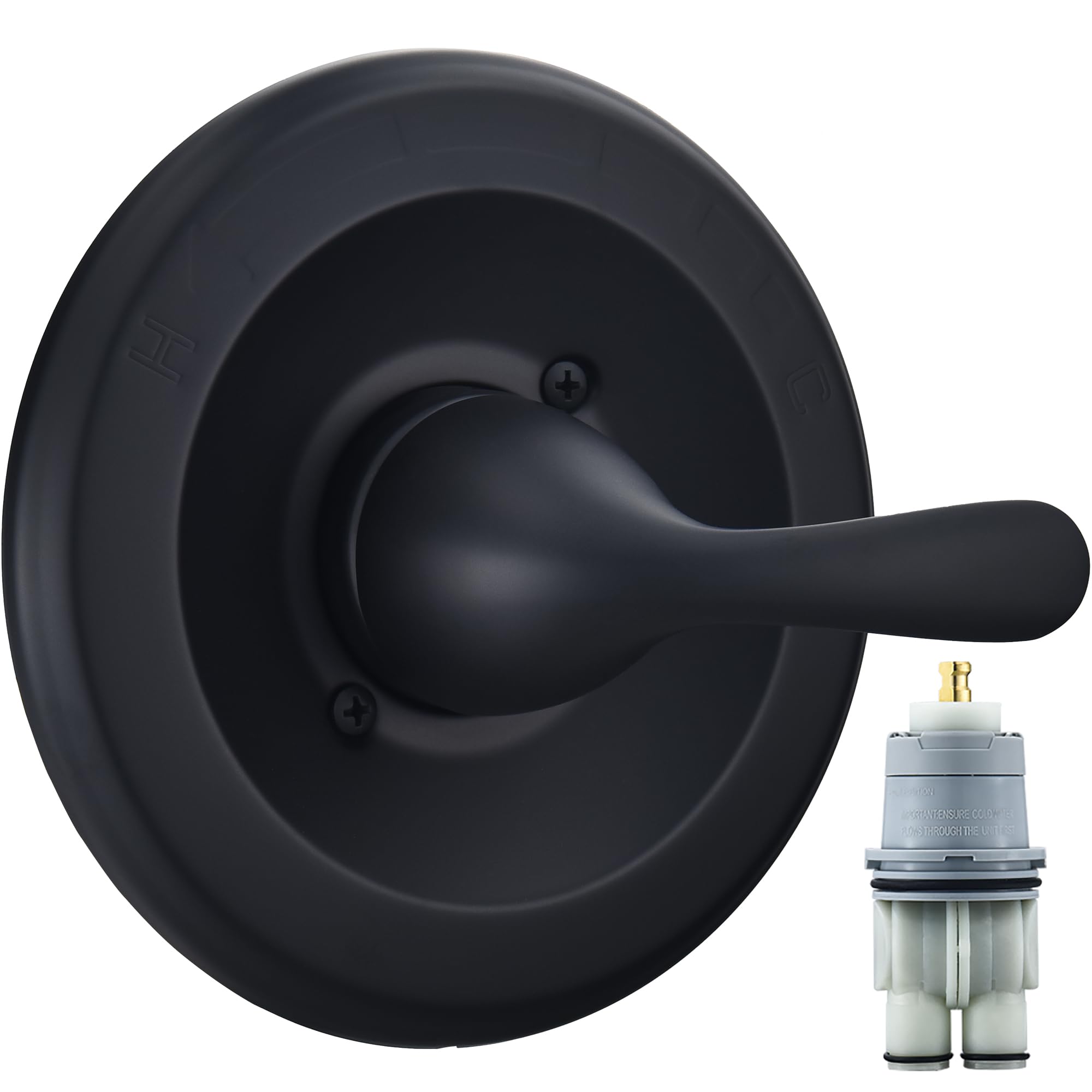 RJDIBAN T13020-BL matte black shower handle front view for modern style and valve compatibility.