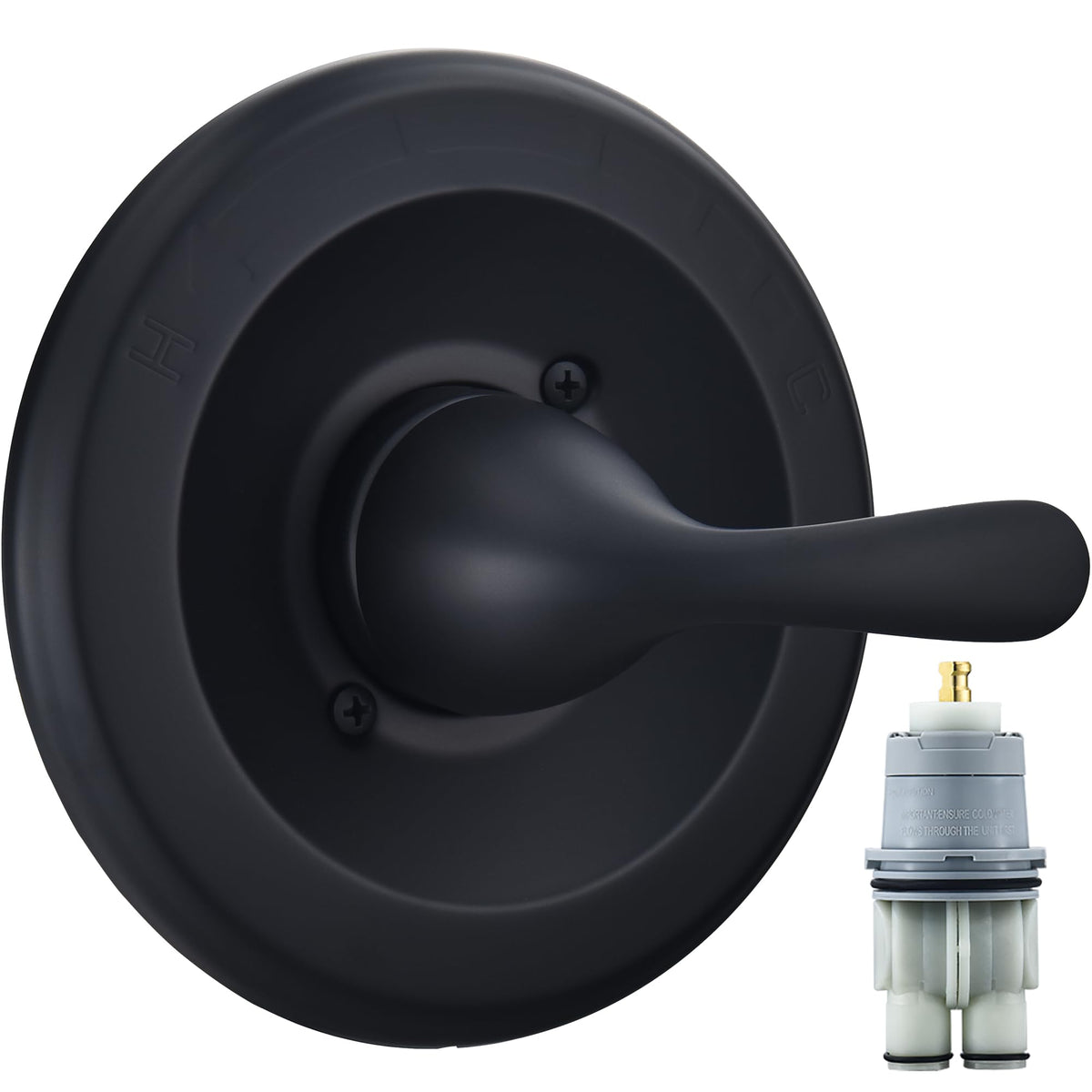 RJDIBAN T13020-BL matte black shower handle front view for modern style and valve compatibility.