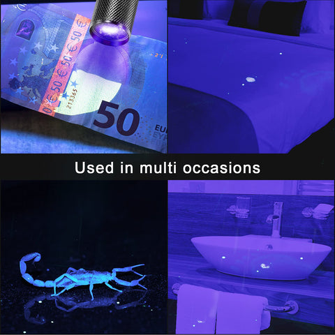 ROCEEI purple light reveals urine stains and cleaning opportunities.