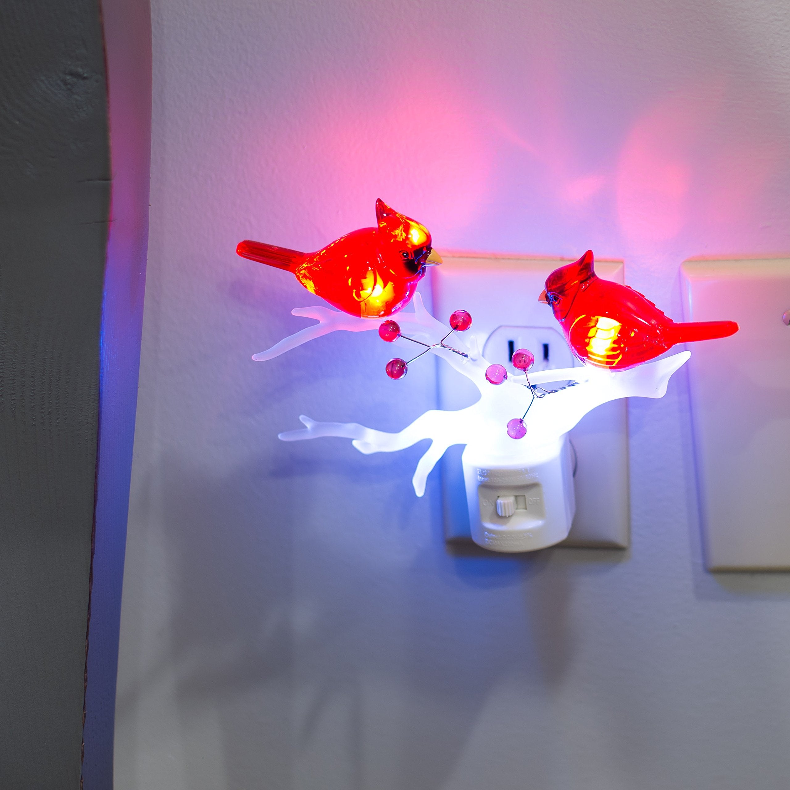 Roman Cardinal duo on holly emits cool white light for ambience