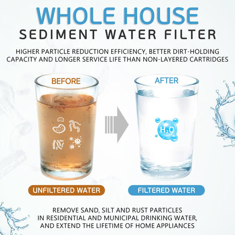 Ronaqua whole-house filtration setup illustrating system integration