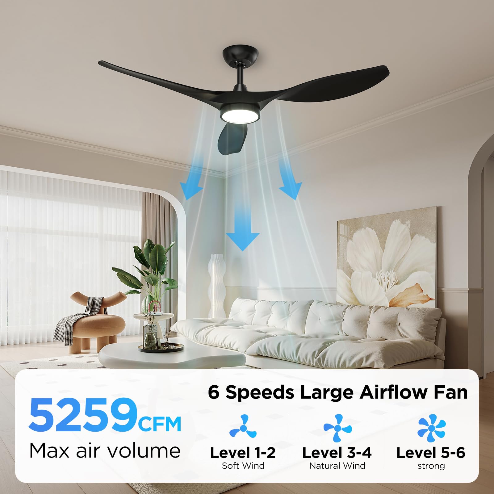 Roomratv ceiling fan timer options help automate comfort.