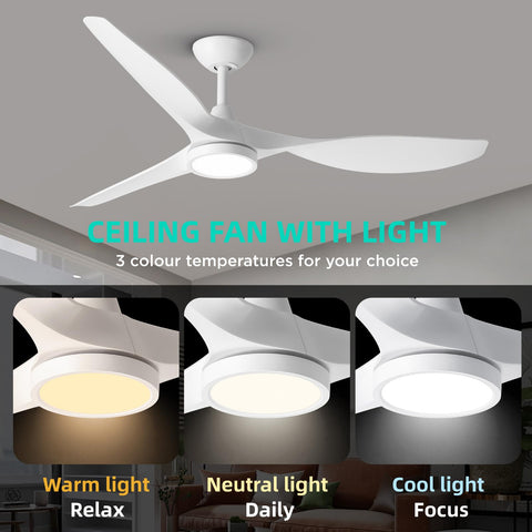 Roomratv large airflow fan improving room comfort.
