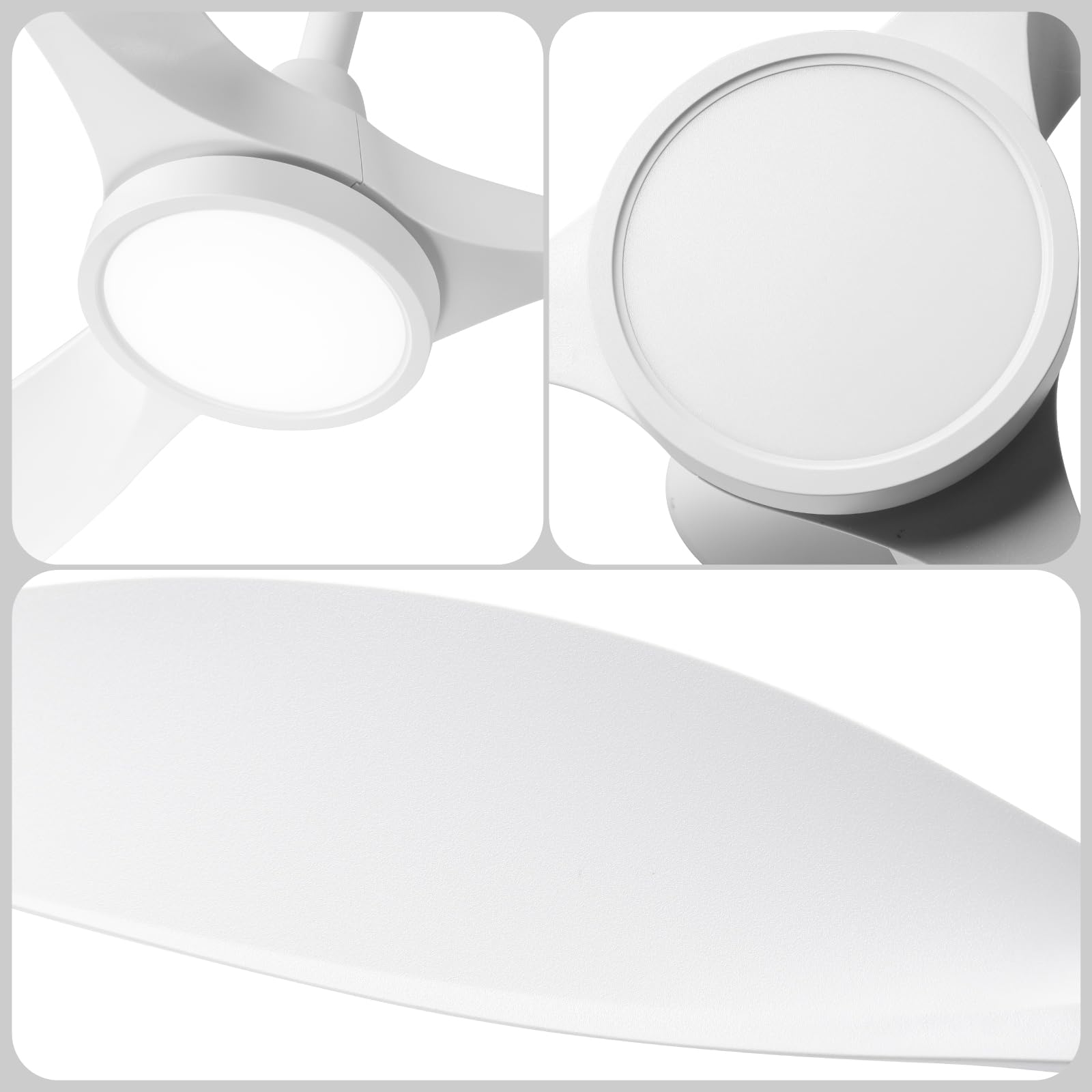 Roomratv modern ceiling fan complements contemporary interiors.