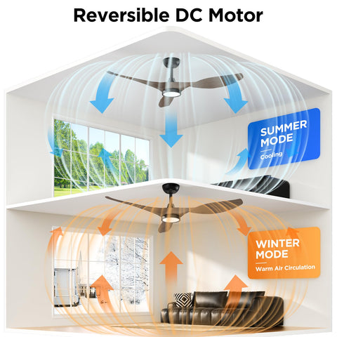 Roomratv three-color-temperature lighting offers warm, neutral, and cool tones.