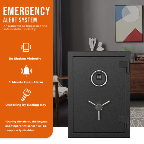 RPNB Deluxe safe 3-spoke-handle illustrating sturdy manual access